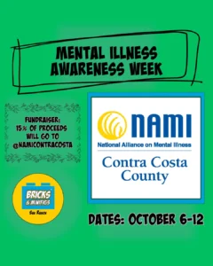 bricks minifigs san ramon flyer